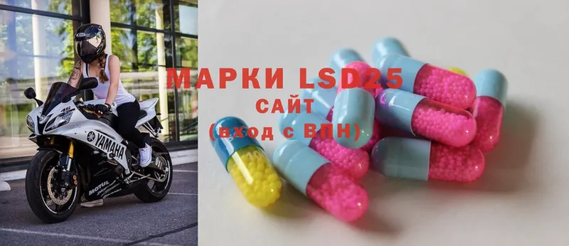 ОМГ ОМГ ссылка  Елизаветинская  LSD-25 экстази ecstasy 